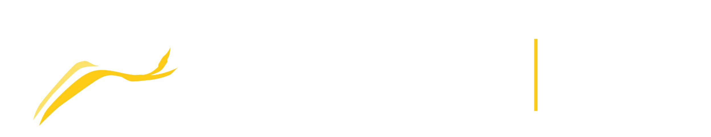 zebra-bw Logo